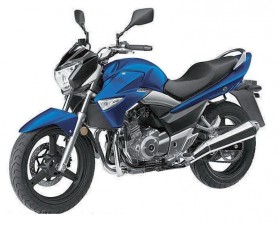 The 2011 Suzuki GW250