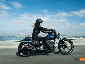 Harley-Davidson FXSB