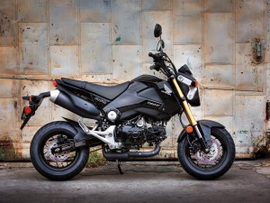 2015 Honda Grom Honda Grom