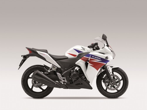 The CBR250R looks like the large Fireblade